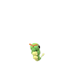 Caterpie