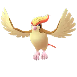 Pidgeot