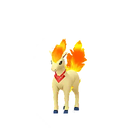 Candela Ponyta