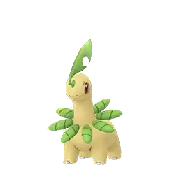 Bayleef