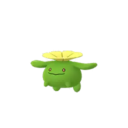 Skiploom