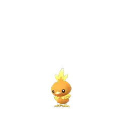 Torchic