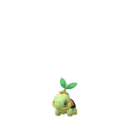 Turtwig
