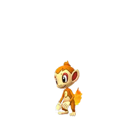 Chimchar
