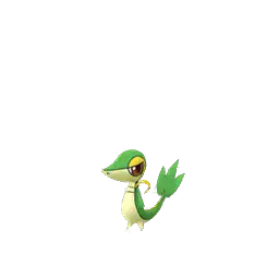 Snivy