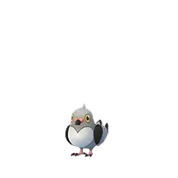 Pidove