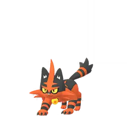Torracat