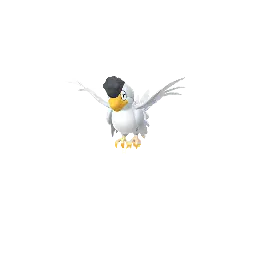 Squawkabilly (White)