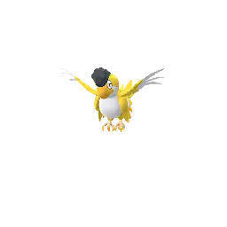 Squawkabilly (Yellow)