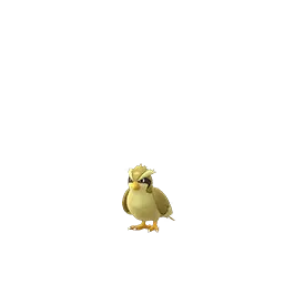 Pidgey shiny