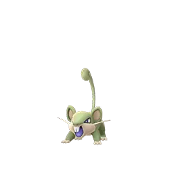Rattata shiny