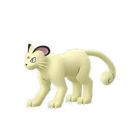 Persian shiny