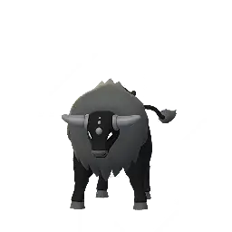 Tauros (Combat) (Shiny)