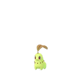 Chikorita (Shiny)
