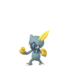Sneasel (Hisui) shiny