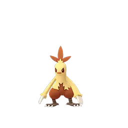 Combusken (Shiny)