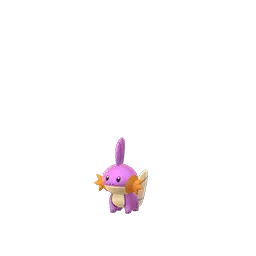 Mudkip (Shiny)