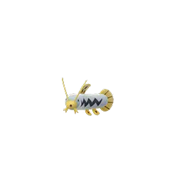 Barboach shiny