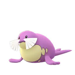Sealeo shiny