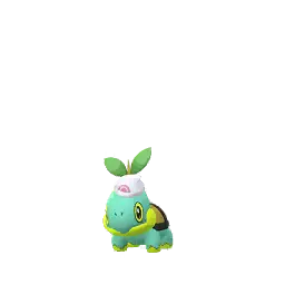 Dawn Turtwig shiny