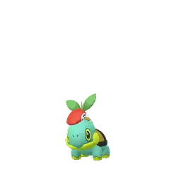 Lucas Turtwig shiny