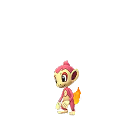 Chimchar (Shiny)