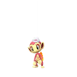 Dawn Chimchar shiny