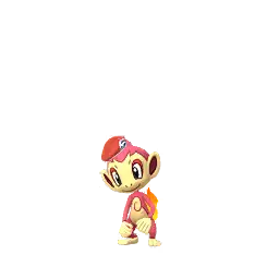 Lucas Chimchar shiny