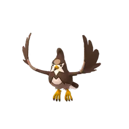 Staravia shiny