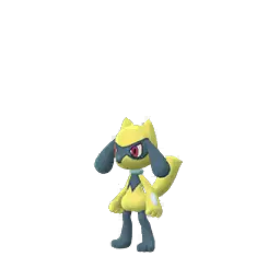 Riolu shiny