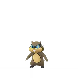 Patrat shiny