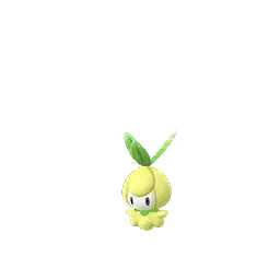 Petilil shiny