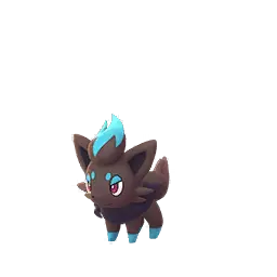 Zorua shiny