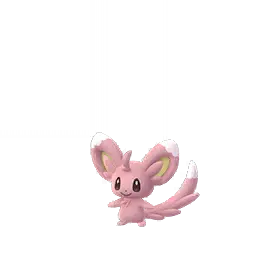 Minccino shiny