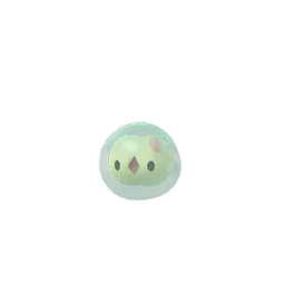 Solosis shiny