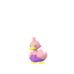 Ducklett shiny