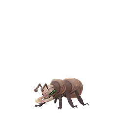 Durant shiny