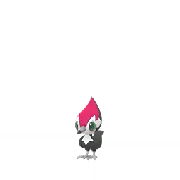 Pikipek shiny