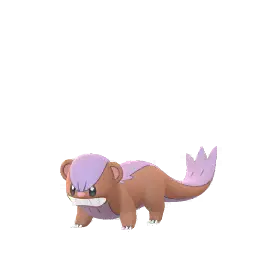 Yungoos shiny