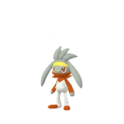 Raboot (Shiny)