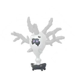 Cursola shiny
